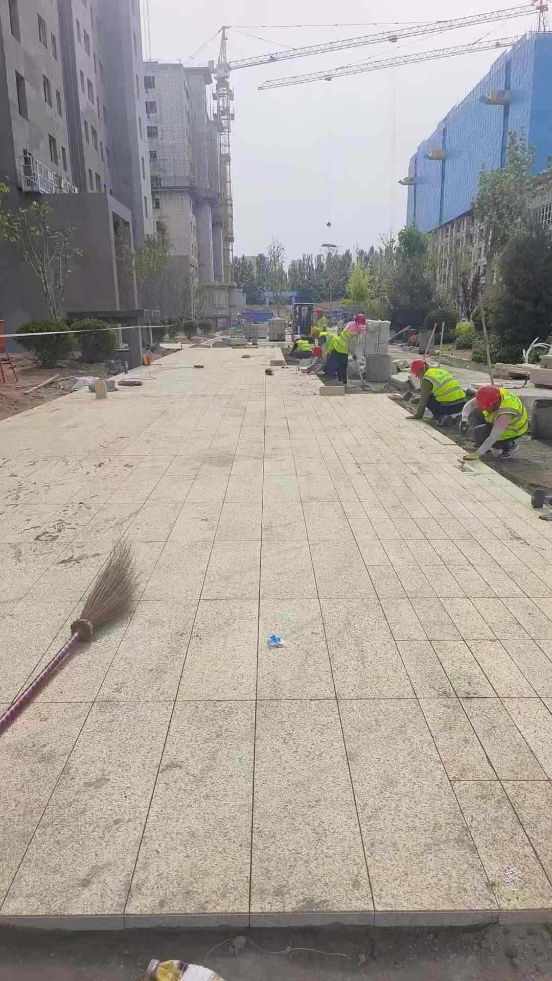 徐州黄金麻荔枝面地铺案例