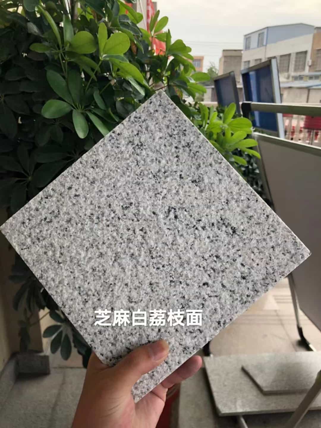徐州 芝麻白荔枝面干挂