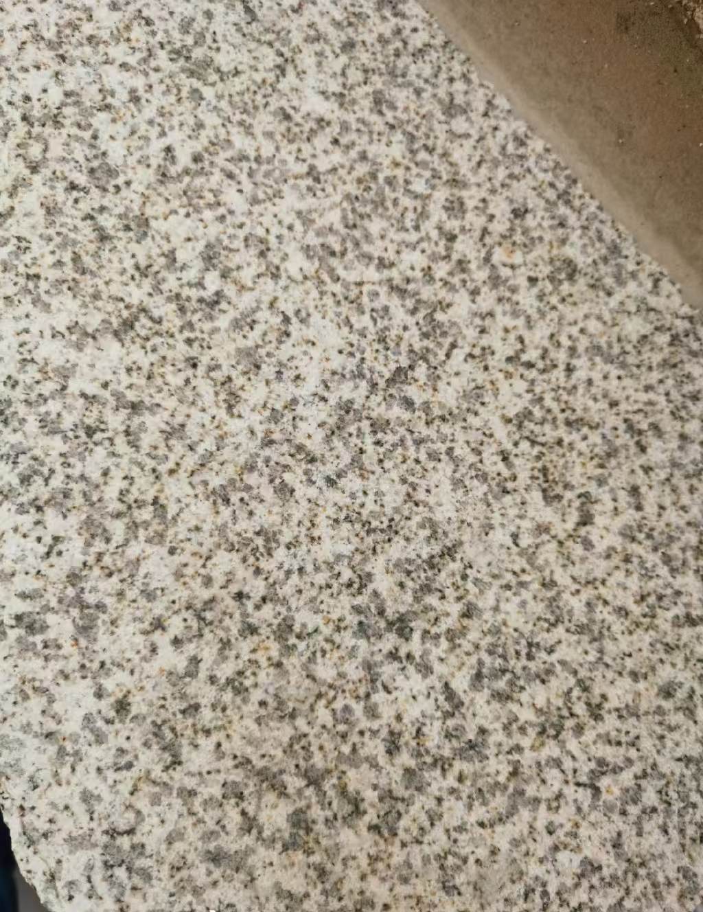 徐州 黄金麻中黄光面